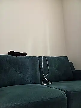 Sjaay2x webcam
