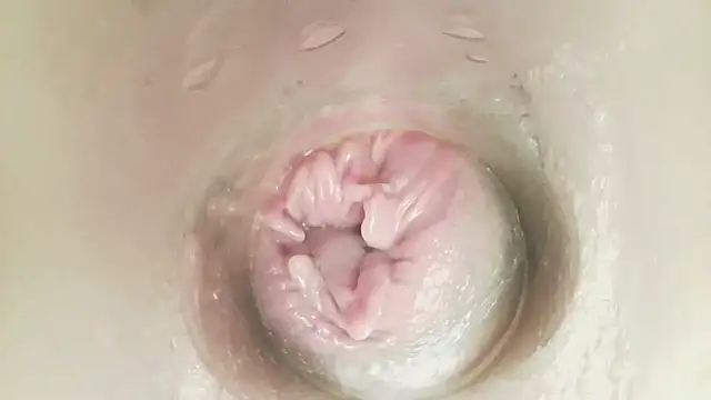 karol_stom