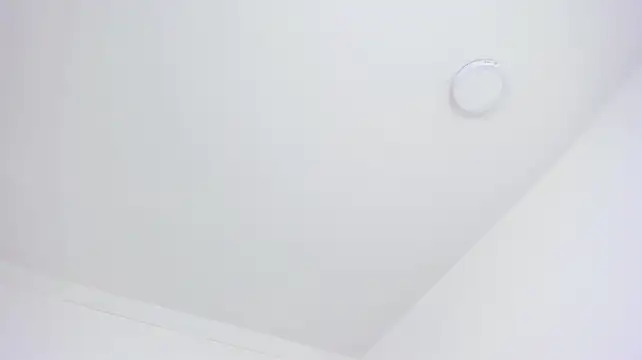 cotton_doll live cam preview