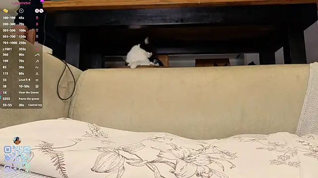 SweetSakuraJane webcam
