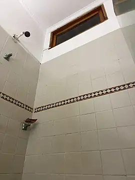 trex_x