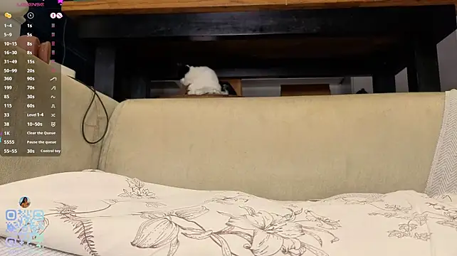 SweetSakuraJane