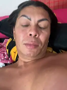 Modelo: Bellatrans__