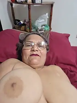 Nalavi webcam