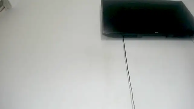 Fox_Loves