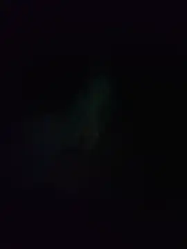 Elmono__1