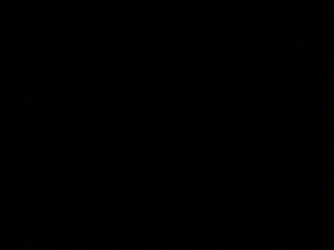 BlackXx666Xx webcam