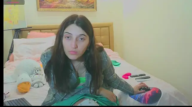 Iren webcam