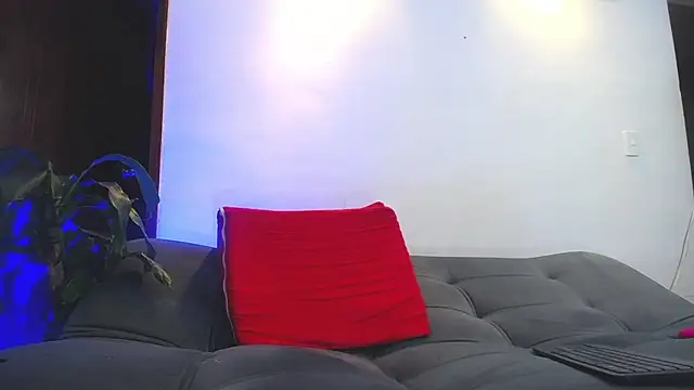 shellsy_hans webcam