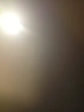 piggylatino