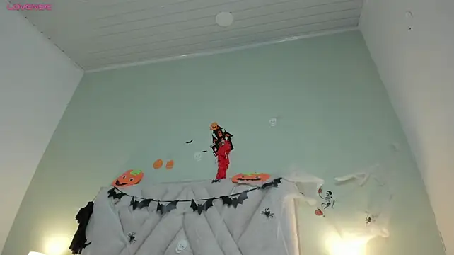 nova_silk webcam