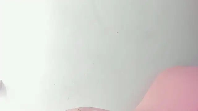 Bruno_fox