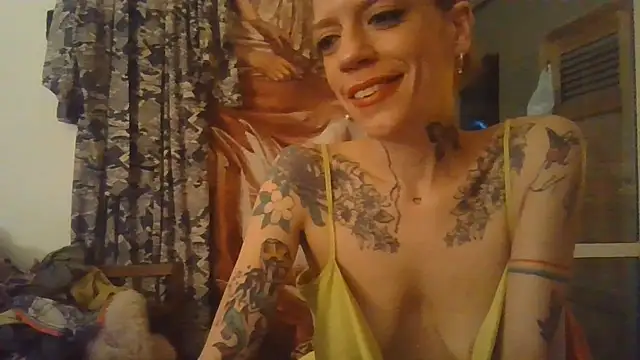 simechasi live cam preview