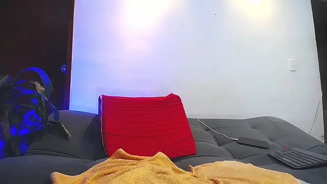 shellsy_hans