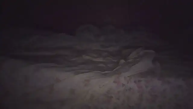 joaopimto0
