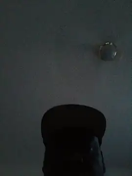 Champdawg247