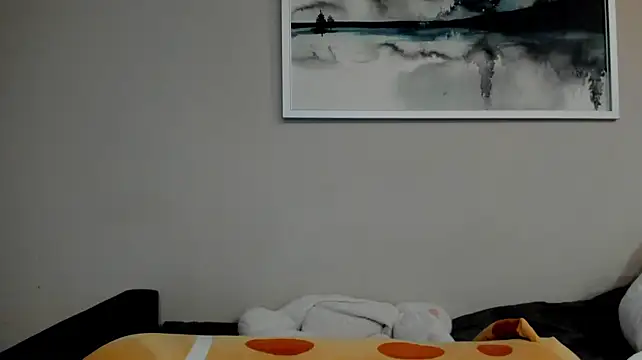 Sm0ly webcam