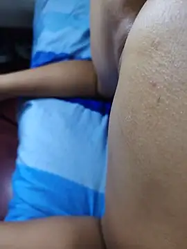 FansBRISA