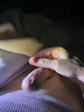 bertram59 webcam