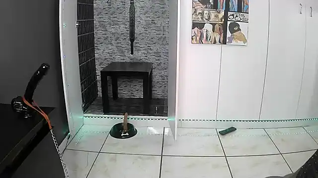 BaDSubMiss