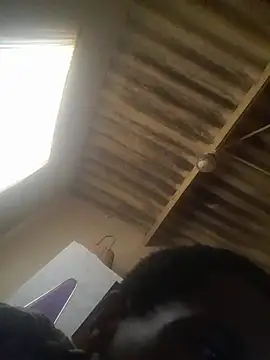koolbend