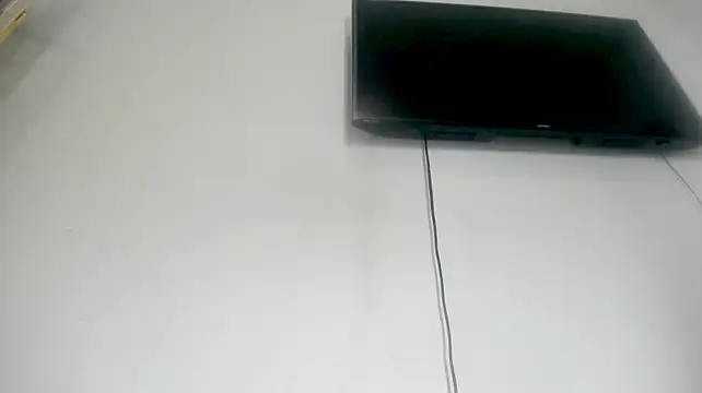 Fox_Loves