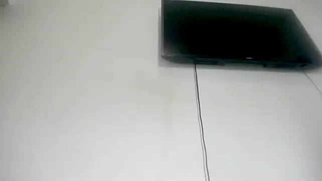 Fox_Loves