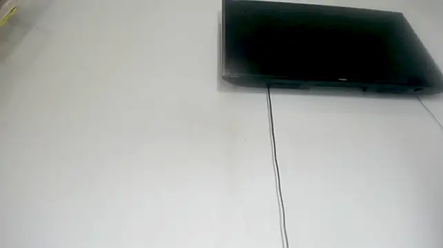 Fox_Loves
