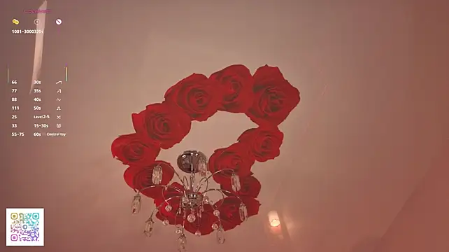 VirginaCoty live cam preview