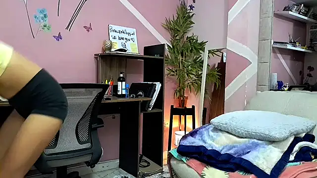 Pineappleflipped webcam