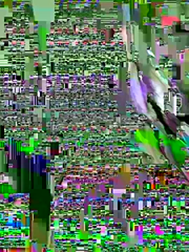 niannian-999 webcam