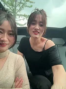 huihui 520
