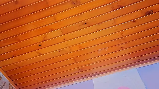 clara_evanss