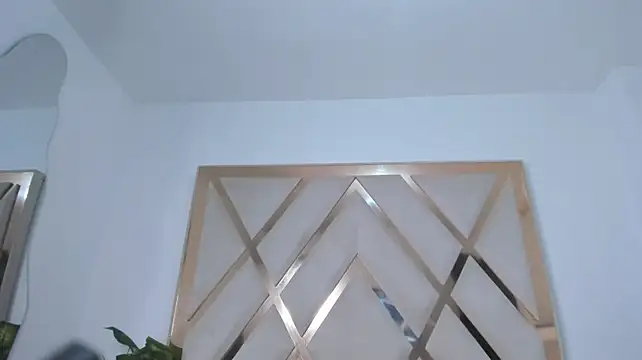 mitch_asm