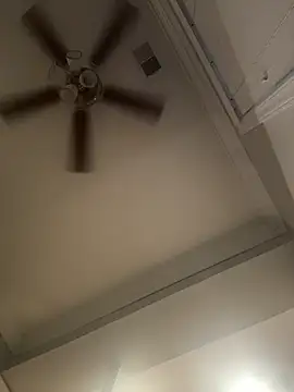 Teddy4420