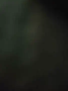 pussysandwitchboy