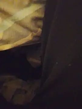 Viacheslav9309