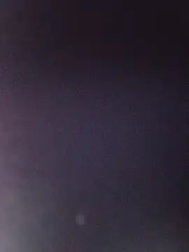 Wet_Dreamxxx
