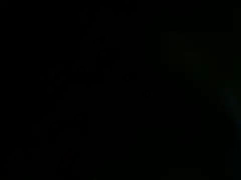 Bulbasaurisme webcam