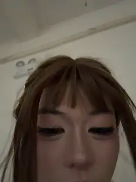 MeimoDog webcam