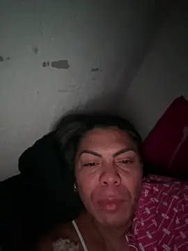 Bellatrans__