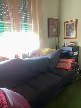 Sunbelxx webcam