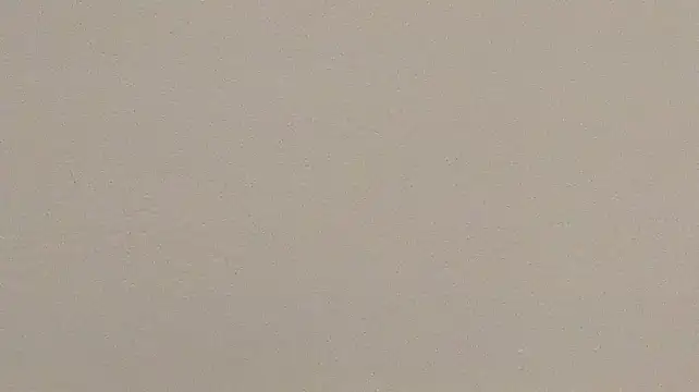 candaceoweens live
