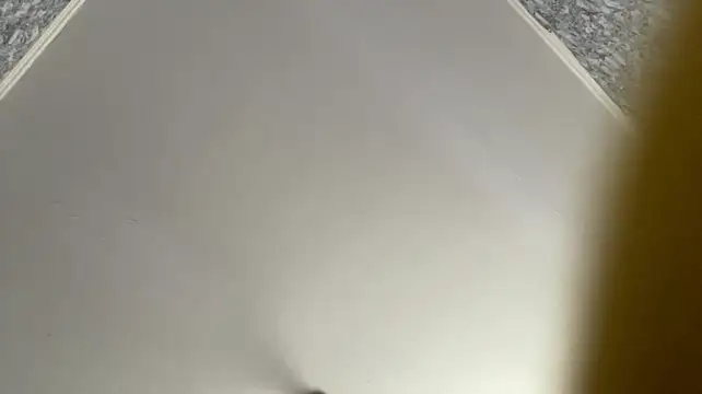 janeensantis live