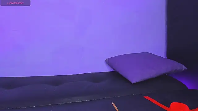 WhyNotDestroy webcam