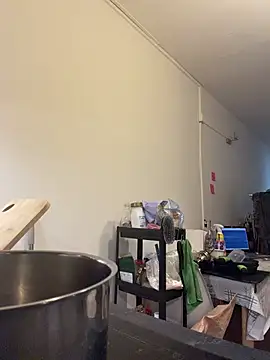 ladyturtle