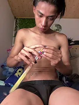 _Camilo_fox webcam