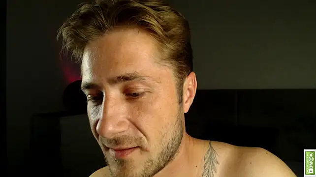 Arturswan