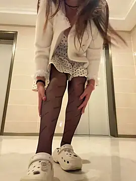 xianyu-ss webcam