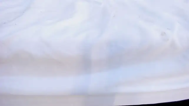 mayaevansmg